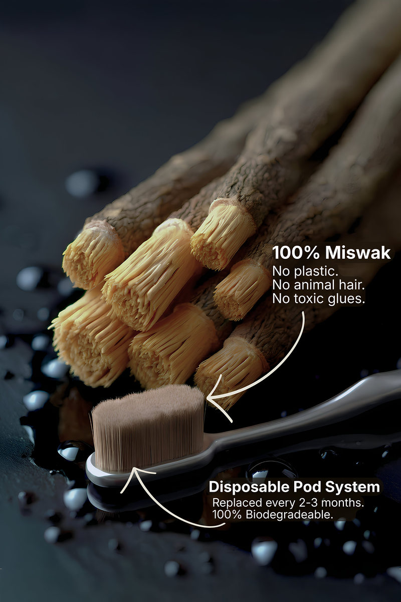 Miswaksumór - World's Healthiest Toothbrush