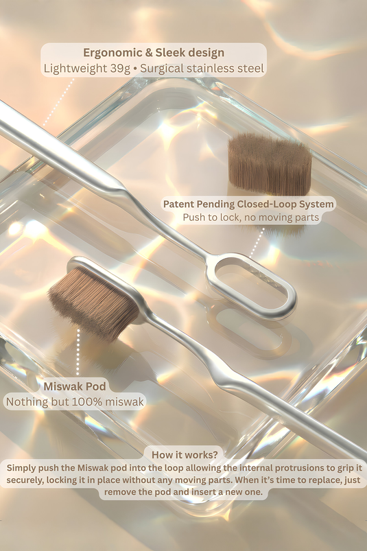 Miswaksumór - World's Healthiest Toothbrush