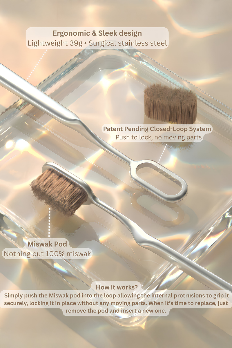 Miswaksumór - World's Healthiest Toothbrush